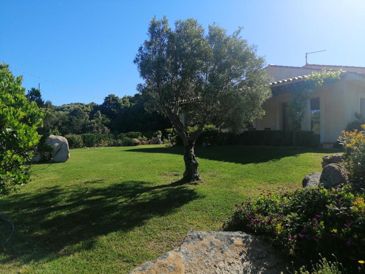 Agriturismo Fioredda Aglientu Bagian luar foto